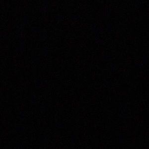 Meet your Posher, Freddie